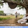 खेडमध्ये मधमाशांच्या हल्ल्यात 62 वर्षीय व्यक्तीचा मृत्यू