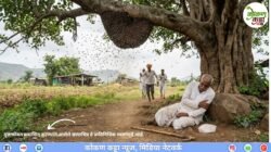 खेडमध्ये मधमाशांच्या हल्ल्यात 62 वर्षीय व्यक्तीचा मृत्यू