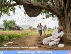 खेडमध्ये मधमाशांच्या हल्ल्यात 62 वर्षीय व्यक्तीचा मृत्यू