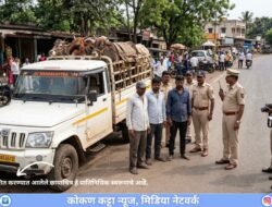 संगमेश्वर : साडवली पार येथे कत्तलीच्या उद्देशाने बैलांची अवैध वाहतूक, पाच जणांविरुद्ध गुन्हा, बोलेरो पिकअपसह 3.30 लाखांचा मुद्देमाल जप्त