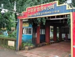 दापोली : आझाद मैदानात सार्वजनिक ठिकाणी मद्यपान, दोघांविरोधात दापोली पोलिसांत गुन्हे दाखल