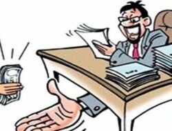 रत्नागिरी : 8 महिन्यांत 11 लाचखोर एसीबीच्या जाळ्यात, महसूल विभागातील 6 जणांवर सर्वाधिक कारवाई, ऑडिओ-व्हिडिओ पुरावे ठरू शकतात महत्त्वाचे