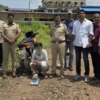 चिपळूण : फिनिक्सअंतर्गत चिपळूण रेल्वे स्टेशन परिसरात गांजाविरोधात कारवाई, 1 लाखांचा मुद्देमाल जप्त