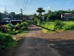 दापोली : एसटी स्टँडमागे विजेचा खांब रस्त्यावर कोसळला, रुपनगरातील वाहतूक ठप्प, नागरिकांची गैरसोय