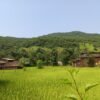 चिपळूण : स्वातंत्र्याला दशके उलटली, तरी तिवरे–गंगेचीवाडी नेटवर्कपासून वंचित नेटवर्क टॉवर उभारण्याची ग्रामस्थांची मागणी, मोबाईल नेटवर्कअभावी नागरिक त्रस्त