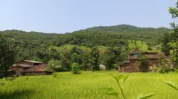 चिपळूण : स्वातंत्र्याला दशके उलटली, तरी तिवरे–गंगेचीवाडी नेटवर्कपासून वंचित नेटवर्क टॉवर उभारण्याची ग्रामस्थांची मागणी, मोबाईल नेटवर्कअभावी नागरिक त्रस्त