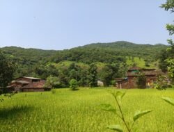 चिपळूण : स्वातंत्र्याला दशके उलटली, तरी तिवरे–गंगेचीवाडी नेटवर्कपासून वंचित नेटवर्क टॉवर उभारण्याची ग्रामस्थांची मागणी, मोबाईल नेटवर्कअभावी नागरिक त्रस्त