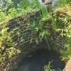 लांजा : विहिरीत तरुणाचा मृतदेह आढळला, आरगाव परिसरात खळबळ