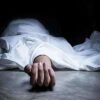 दापोली : शेवग्याच्या फांद्या तोडताना तोल गेला, वृद्धाचा मृत्यू