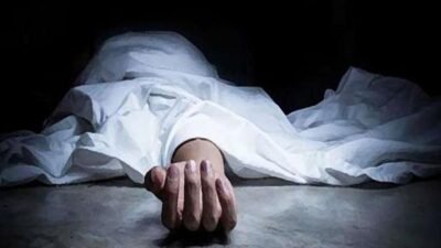 दापोली : शेवग्याच्या फांद्या तोडताना तोल गेला, वृद्धाचा मृत्यू