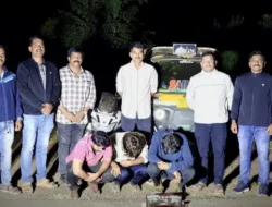 रत्नागिरी : हायड्रोपोनिक गांजाची विक्री करण्याच्या संशयावरून तिघांना अटक, 4.20 लाखांचा मुद्देमाल जप्त