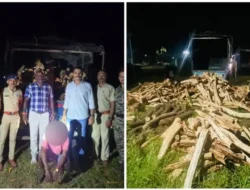 मंडणगड : खैर लाकडाच्या अवैध वाहतुकीवर वन विभागाची कारवाई, 3 लाखांचे वाहन जप्त, एकावर गुन्हा दाखल!