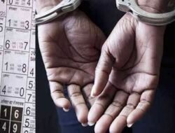 चिपळूण : पोफळी नाका येथे मटका जुगारावर पोलिसांची कारवाई, एकावर गुन्हा दाखल