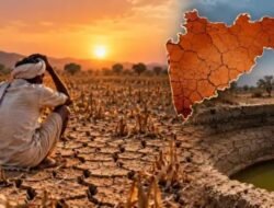 रत्नागिरी : जिल्ह्यात आणखी तीन तालुके दुष्काळग्रस्त घोषित, आता सहा तालुक्यांचा समावेश, ट्रिगर-2 नुसार मंडणगड, खेड आणि लांजाला दिलासा; चिपळूण, दापोली आणि गुहागर वगळले
