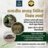 दापोली : वन्यजीव सप्ताहानिमित्त निबंध स्पर्धा, इयत्ता 9 वी ते 12 वीच्या विद्यार्थ्यांसाठी संधी