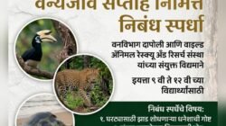 दापोली : वन्यजीव सप्ताहानिमित्त निबंध स्पर्धा, इयत्ता 9 वी ते 12 वीच्या विद्यार्थ्यांसाठी संधी