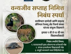 दापोली : वन्यजीव सप्ताहानिमित्त निबंध स्पर्धा, इयत्ता 9 वी ते 12 वीच्या विद्यार्थ्यांसाठी संधी