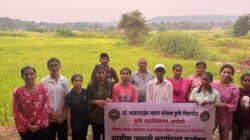 दापोली : भातपिकासाठी युरिया व्यवस्थापनाचे प्रात्यक्षिक; सहा प्रयोगशील शेतकऱ्यांना मार्गदर्शन