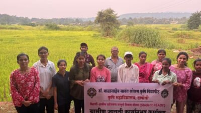 दापोली : भातपिकासाठी युरिया व्यवस्थापनाचे प्रात्यक्षिक; सहा प्रयोगशील शेतकऱ्यांना मार्गदर्शन